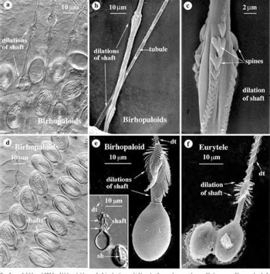 Nematocyst-Covered Tentacles That Flow Like Silk!